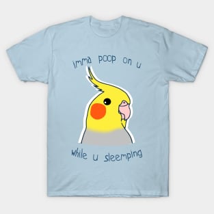 imma poop on u while u sleemping T-Shirt